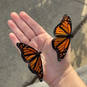 Meet your Posher, Isabel